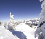 Hahnenkamm