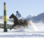 SnowPolo resize.JPG